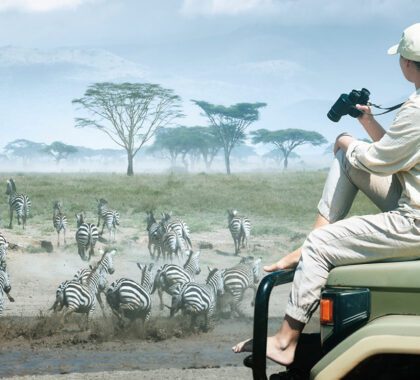 Banner-shutterstock_1675037983Woman-tourist-on-safari-in-Africa,-traveling-by-car-in-Kenya-and-Tanzania