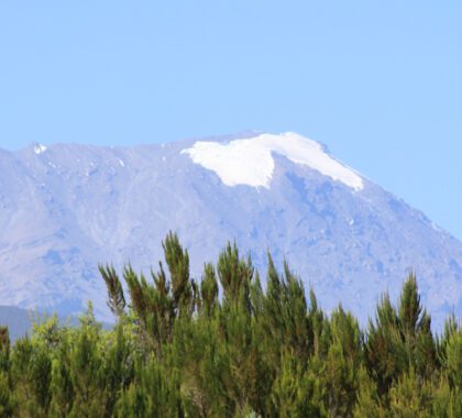 banner-2-kilimanjaro-133