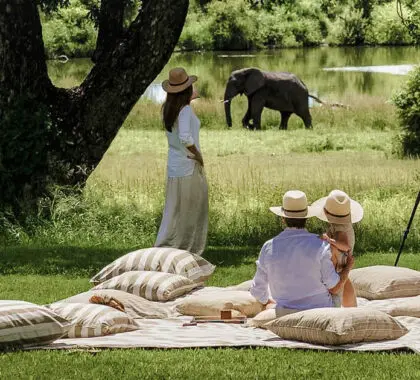 Nuestros mejores destinos de vacaciones en familia en África