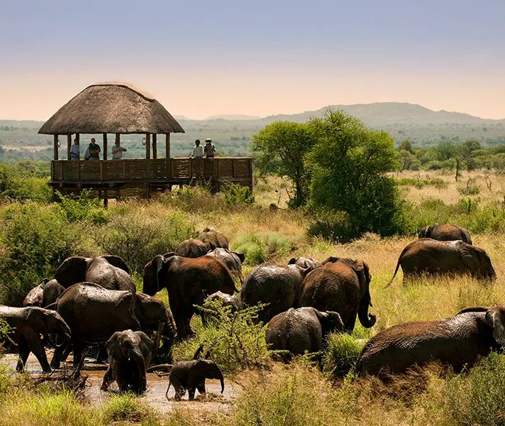 morukurus-private-hide