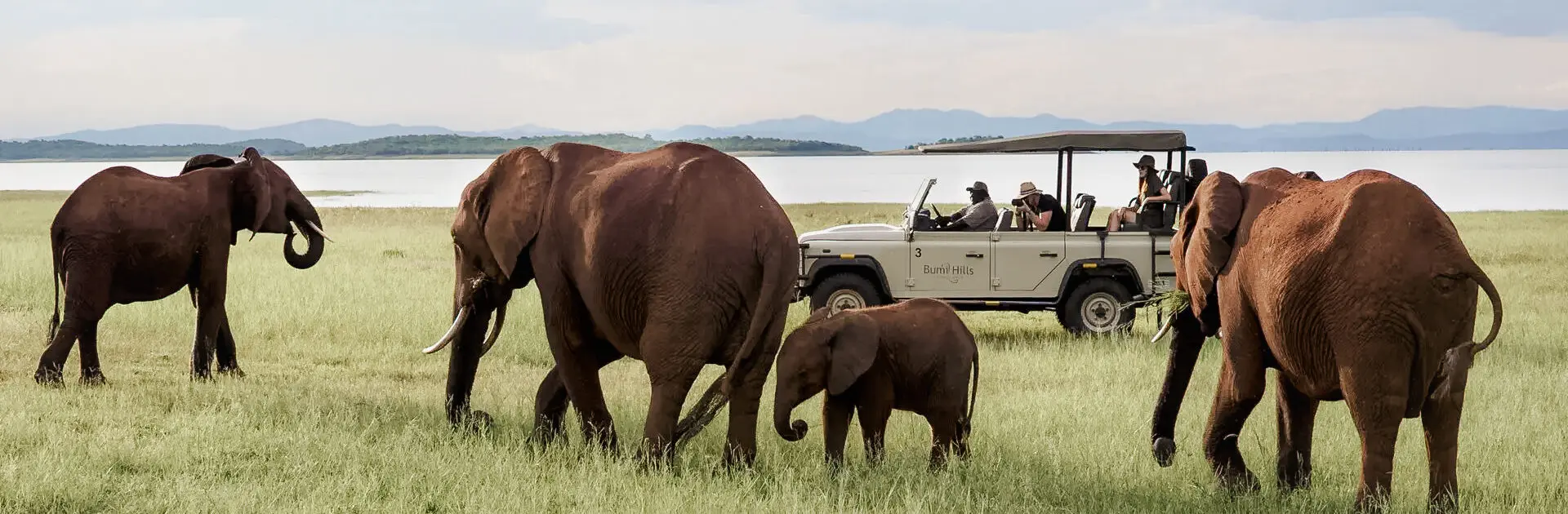 Bumi Hills Safari Lodge en el lago Kariba, Zimbabue | Go2Africa