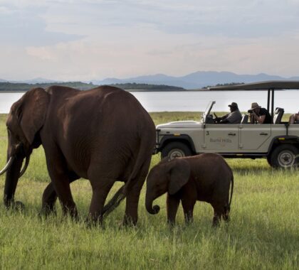 Bumi Hills Safari Lodge in Lake Kariba, Zimbabwe | Go2Africa