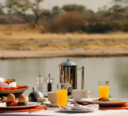 África en un plato: Qué comer en un safari