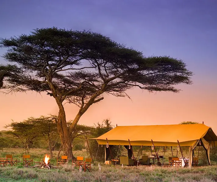 tanzania_serengeti-under-canvas_beyond_14-3