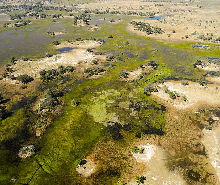 g2a_botswana_various-aerial-views-of-the-delta-spot-the-elephants-3