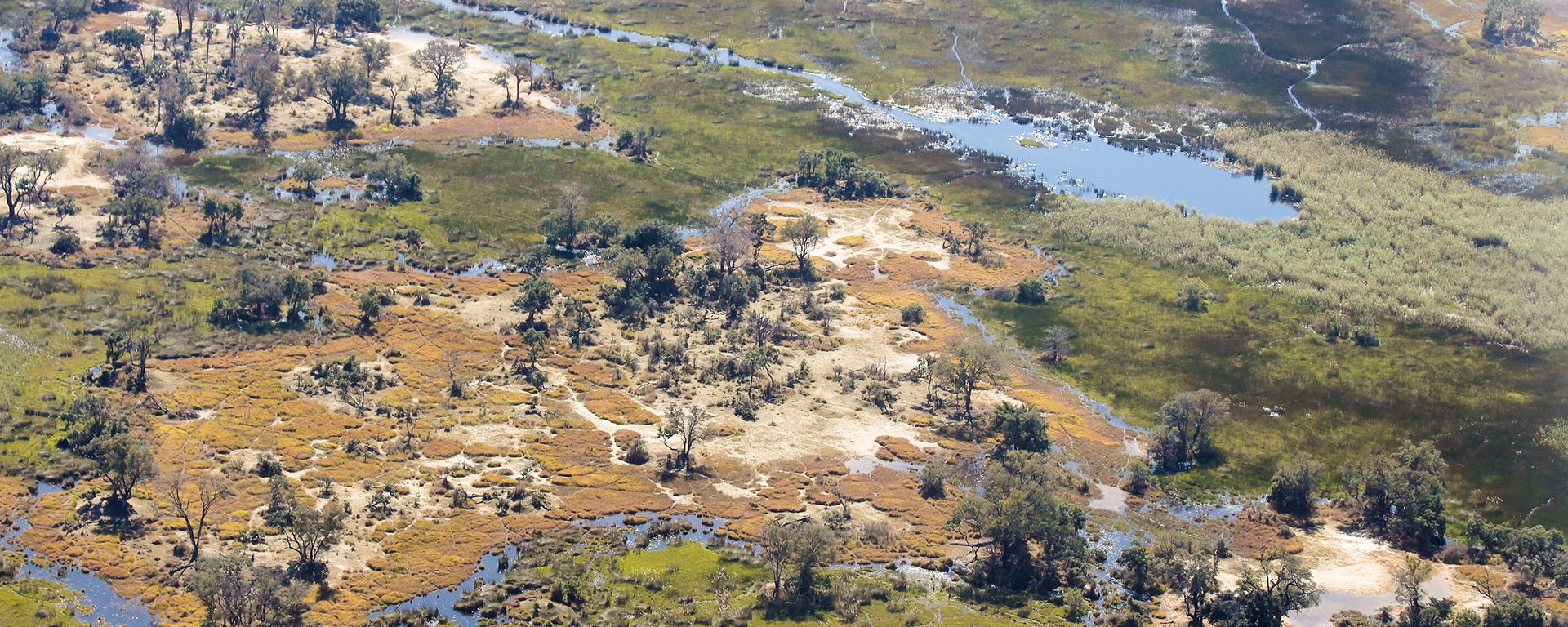 g2a_botswana_various-aerial-views-of-the-delta-spot-the-elephants