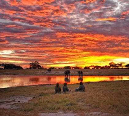 4 razones para viajar a Zimbabue