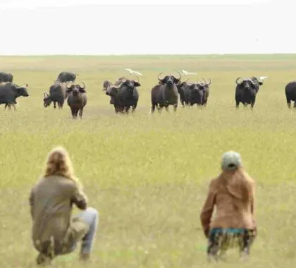 vacunación-blog-header-image_laikipia