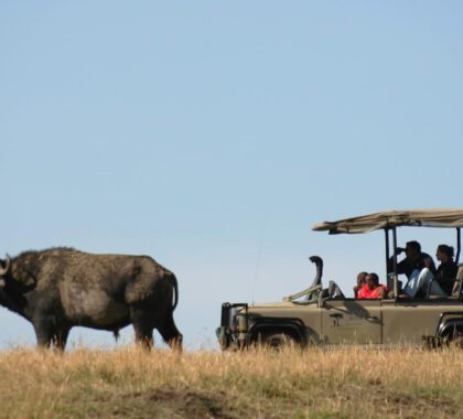 12 Best Family Safaris in East Africa