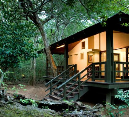 phinda-forest-lodge-room21
