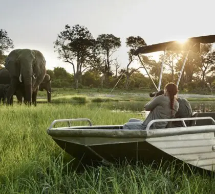 Las 10 mejores experiencias de safari en Chobe