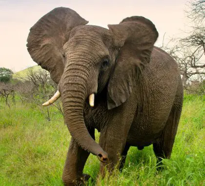 Cómo combinar los destinos favoritos de Sudáfrica