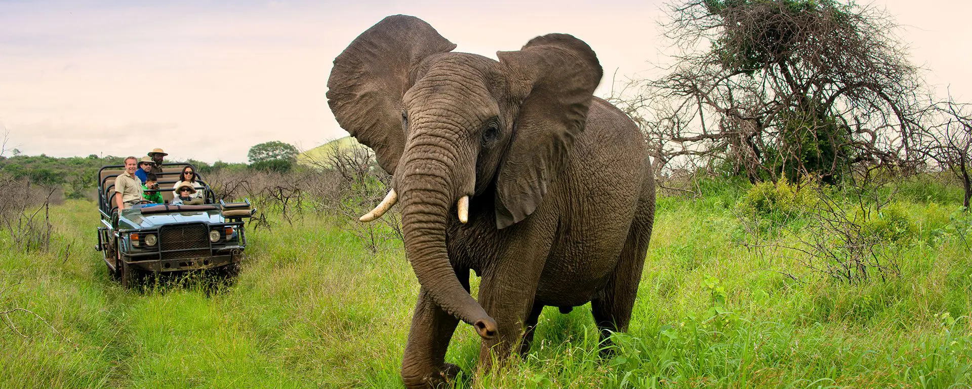 Coisas para fazer em Palm Beaches, FL, que aceitam animais de estimação, image size:1920x768