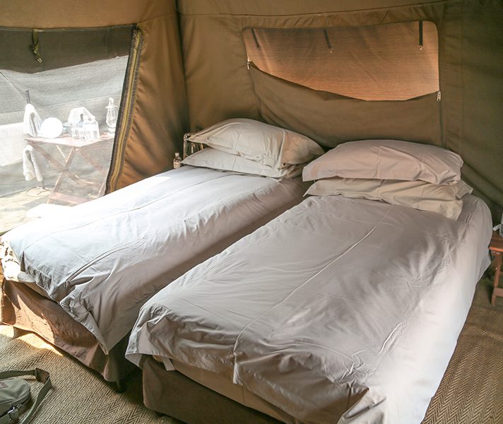 g2a_bots_chobe_camp__twin-beds