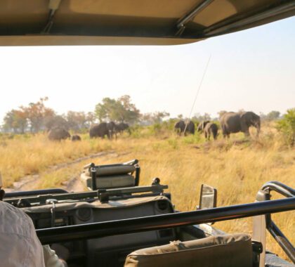 Mature Travellers: How to Plan an African Vacation with your Folks