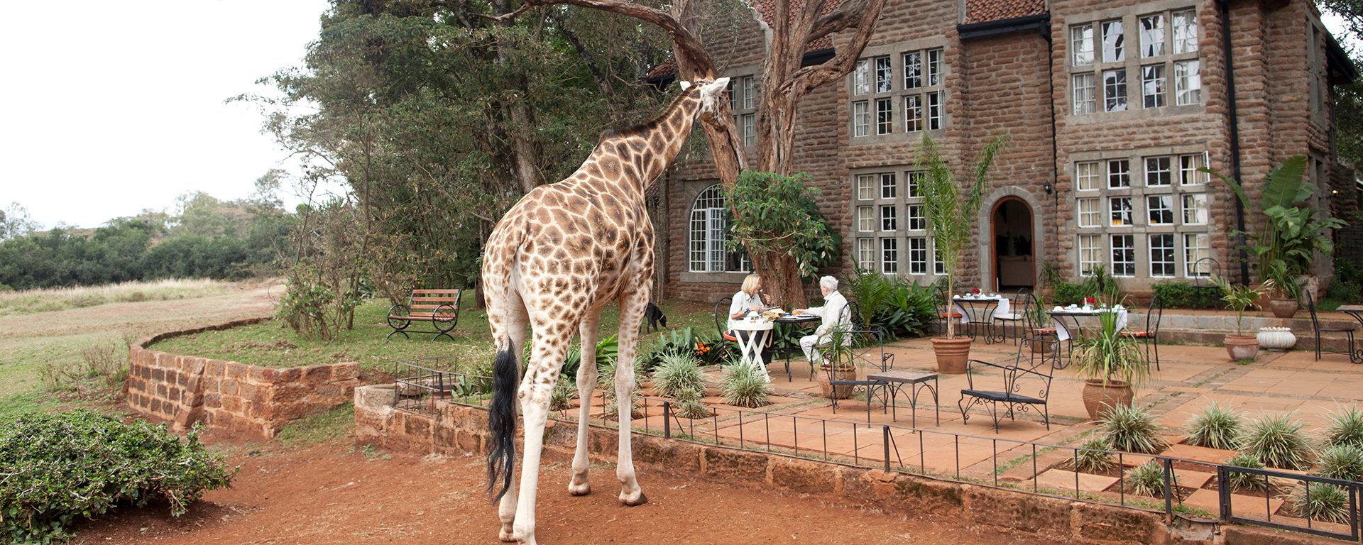 the-giraffe-manor_kenya_61