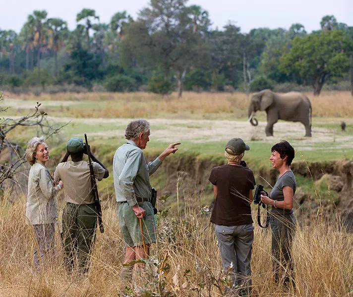 walking-safaris-15