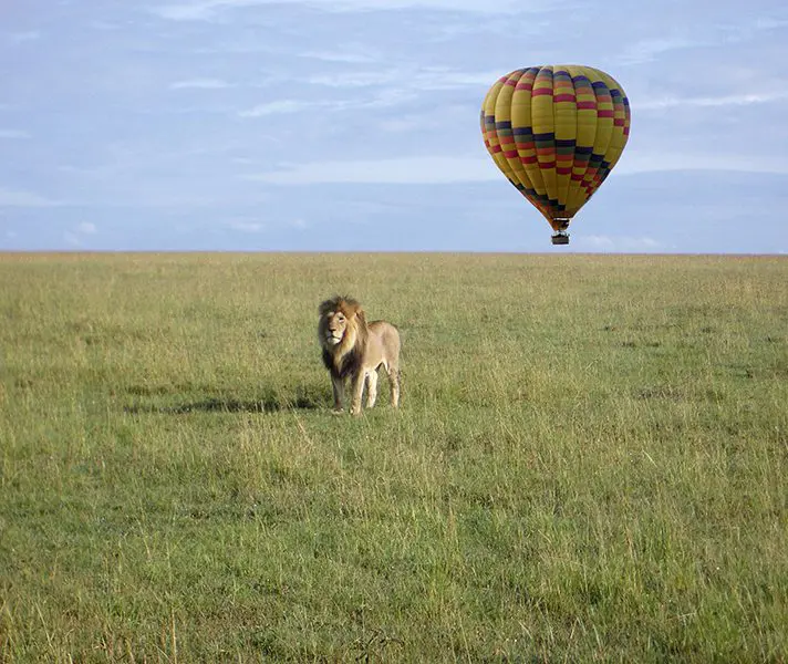 emma-kenya-yellow-341