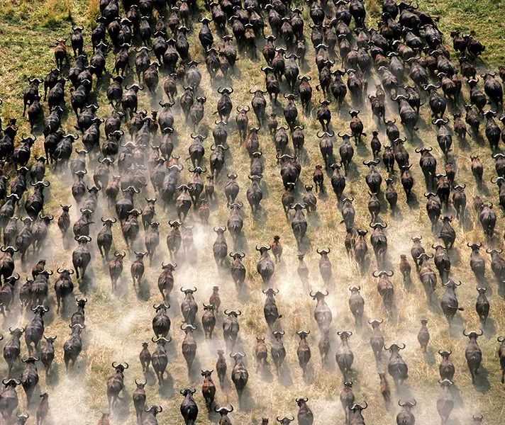 selindacamp_2009_2281