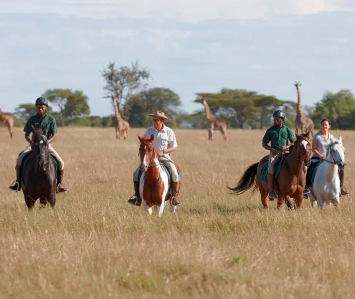 singita-horse-safari-15