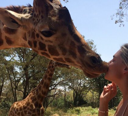 my-best-kiss-from-jock-at-the-giraffe-manor