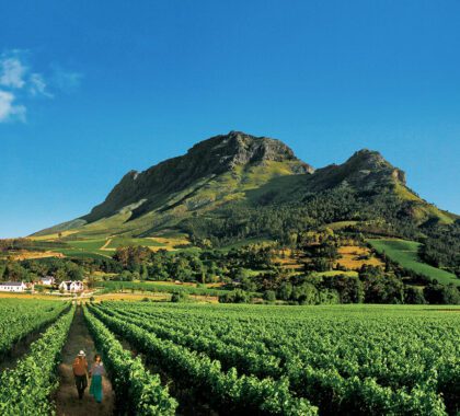 Top 10 Reasons to Visit South Africa