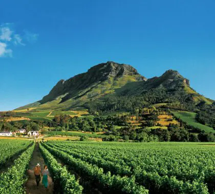 Las 10 razones principales para visitar Sudáfrica