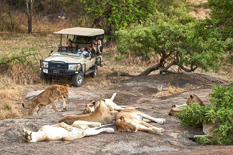 Mwiba_Lodge_game-drive