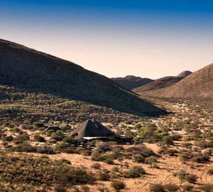Motse Lodge's private Kalahari setting assures both an exclusive & unique safari experience.