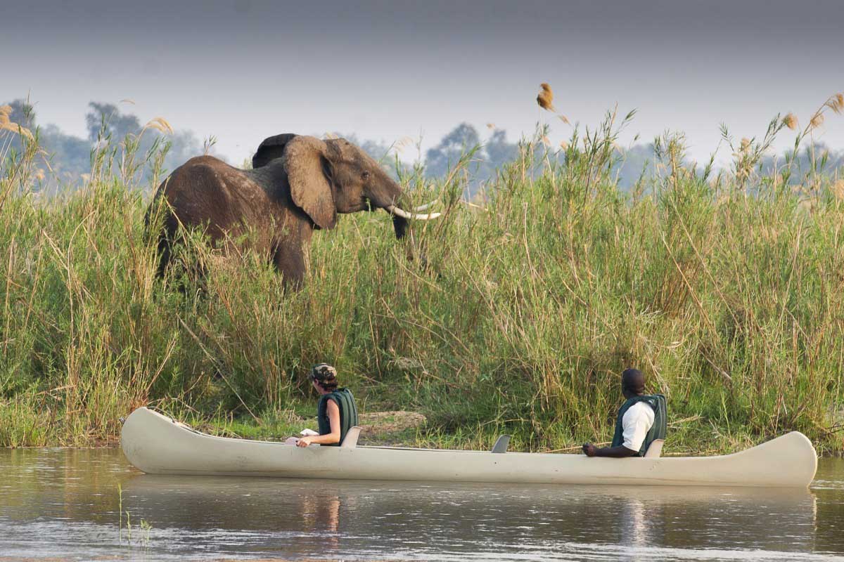 Safari en canoa observando un elefante pastando en el Baines River Camp de Zambia