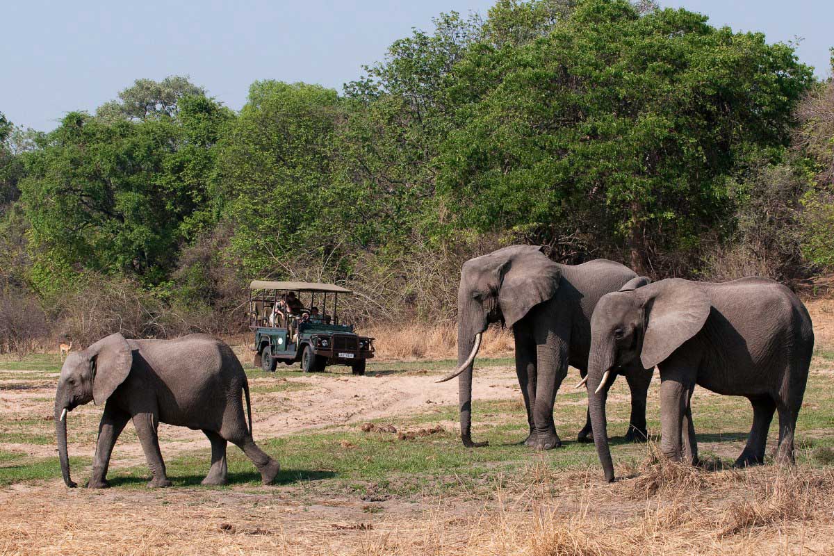 Safari vehicle on a game drive watching 3 elephants at Chamilandu Bush Camp, Zambia
