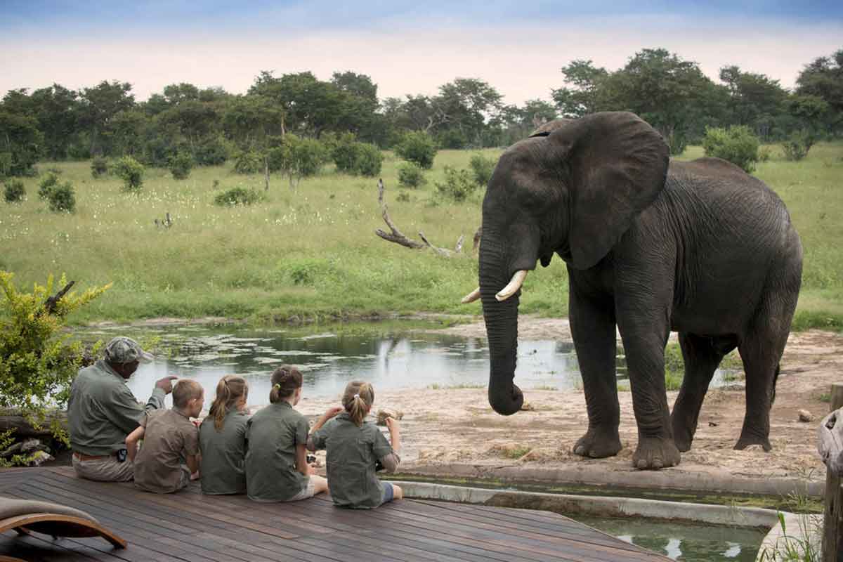 Kids close to an elephant as Somalisa Concession, Hwange National Park, Zimbabwe
