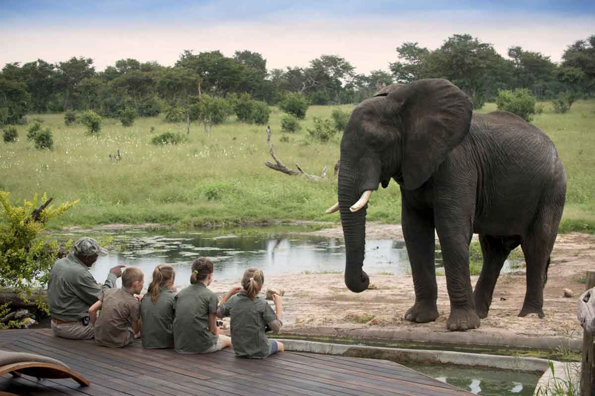 Niños cerca de un elefante en la Concesión de Somalisa, Parque Nacional de Hwange, Zimbabue
