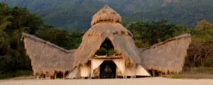 Greystoke-Mahale-2