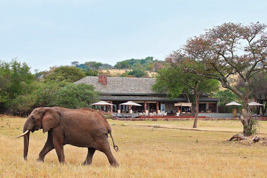 Singita Serengeti House en Tanzania | Go2Africa