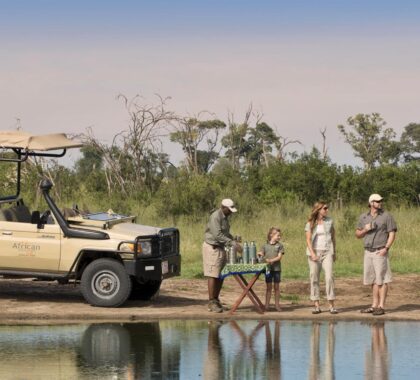 Safari for Kids: Our Best Places to Stay in Africa