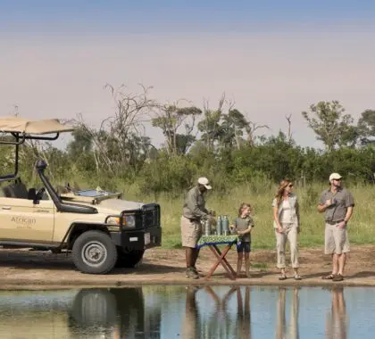 Safari para niños: Nuestros mejores lugares para alojarse en África