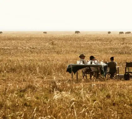 Los 5 secretos mejor guardados de Tanzania