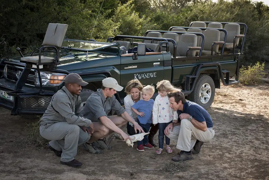 Safari for kids at Kwandwe Ecca Lodge, South Africa | Go2Africa