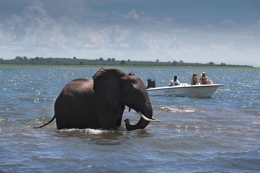 Un grupo de personas ve un elefante en el agua durante un safari en barco en el Parque Nacional de Matusadona, Zimbabue.