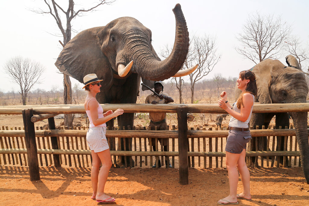 Wild Horizons Elephant Sanctuary and Orphanage in Victoria Falls | Go2Africa