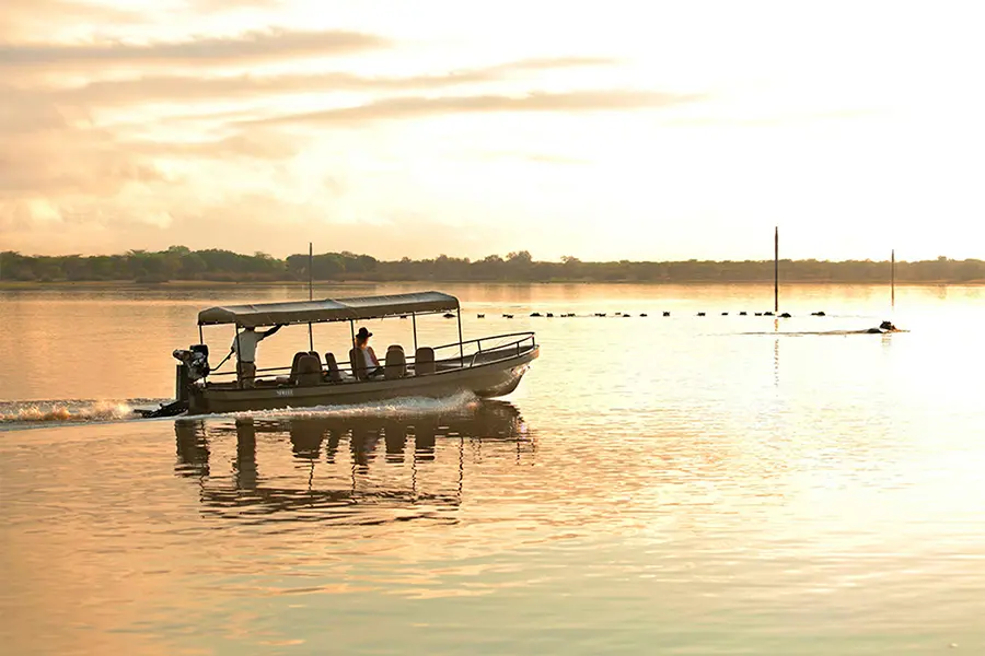 Sunset cruise on Rufiji River in Nyere National Park, Tanzania.