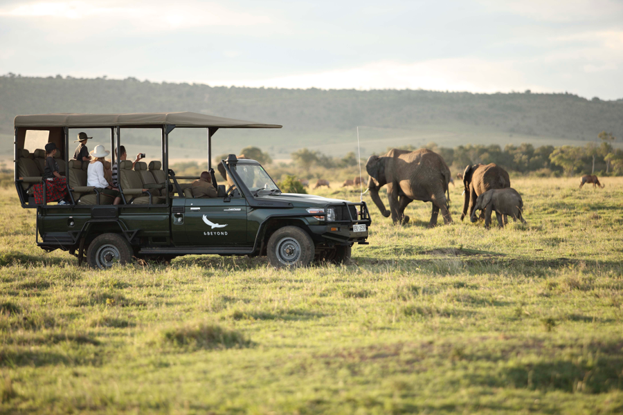 A safari game drive, Kenya | Go2Africa