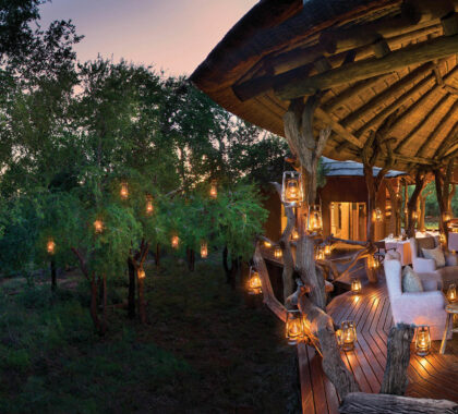 22 Affordable Safari Lodges & Hotels in South Africa