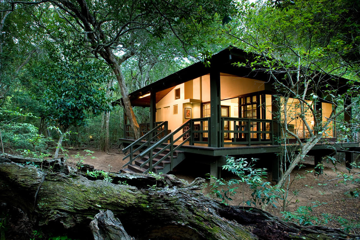 phinda-forest-lodge