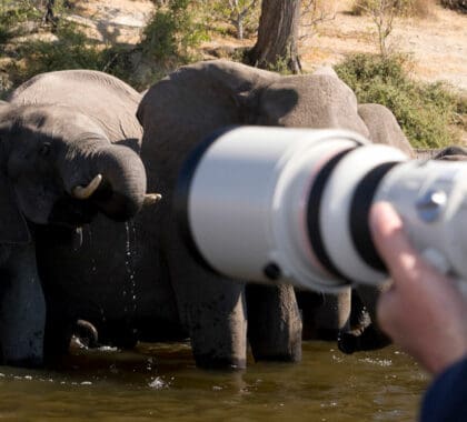 [Infographic]: What to pack for a photographic safari