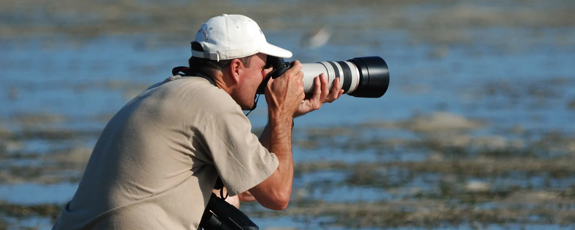 birding-at-ibo-island-lodge