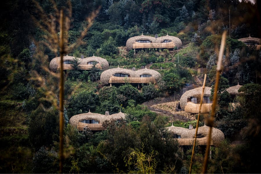 Suites in the Trees at Bisate Lodge, Rwanda | Go2Africa 