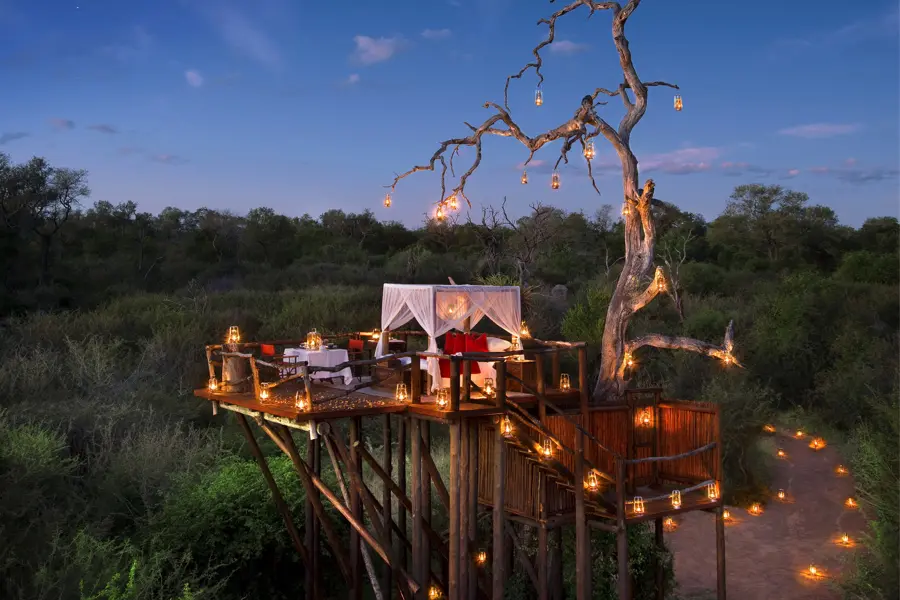 Cama romántica con estrellas, Chalkley Treehouse, Lion Sands Game Reserve | Go2Africa