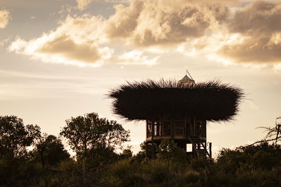 Casa en un árbol de diseño único en Kenia | Go2Africa 
